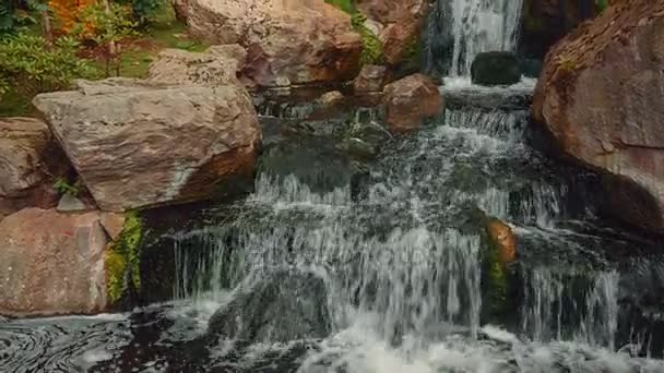 Inclinação tiro de um jardim japonês pitoresco com uma cachoeira durante o início do outono — Vídeo de Stock