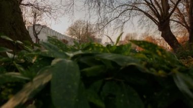 Küçük bir Venedik ilginç alan Londra, İngiltere, İngiltere'de güneşli bir günde gösterilen atış devirme