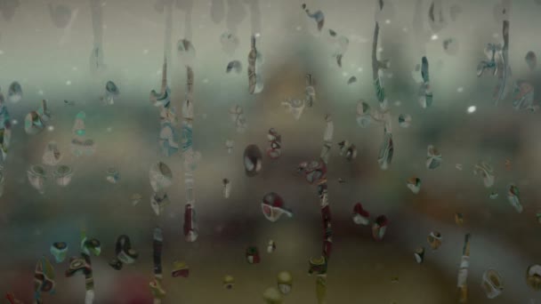 圣保罗大教堂在伦敦，英国从一个窗口窗格与落雨看游戏中的时光倒流 — 图库视频影像