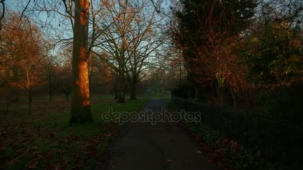 冬の間ロンドン、イングランド、イギリスのハイドパークを歩くハメ撮りジンバル — ストック動画