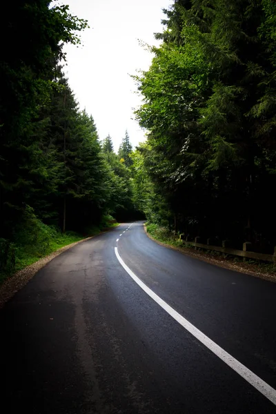 Bulutlu bir gün yolda devam