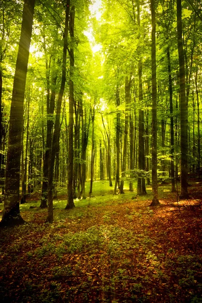 Güneşli bir gün yolda devam