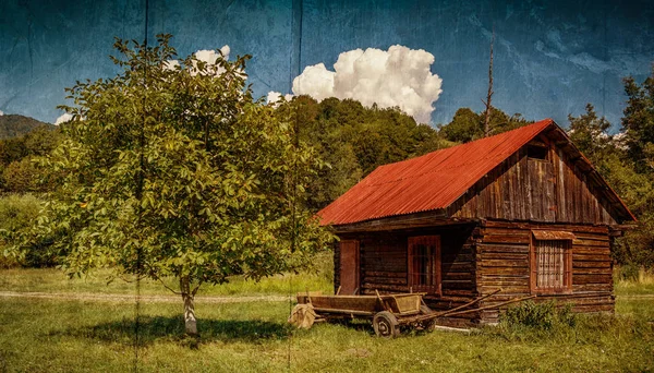 Wide retro shot of an abandoned log house — Stock Photo, Image