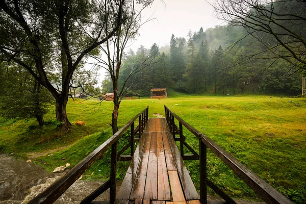 Bran, Transilvanya, Romanya