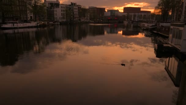 Νωρίς το πρωί βολή του ποταμού Άμστελ στο Άμστερνταμ — Αρχείο Βίντεο