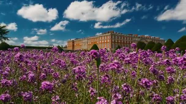 Hampton court palace — Stock video