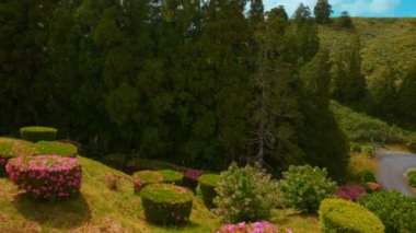 Azores, Portekiz görüntüsünü oluşturma