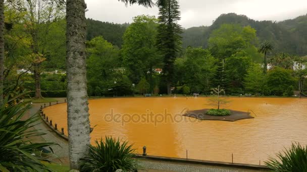 Furnas, Sao Miguel, Azores, Portugal — Vídeo de stock