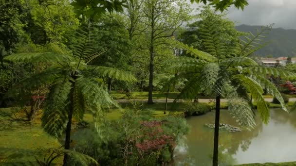 São Miguel, Açores, Portugal — Vídeo de Stock