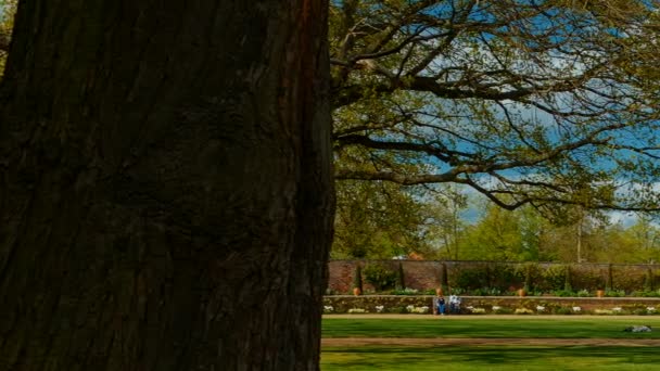 Ham House en Richmond, Londres, Inglaterra, Reino Unido — Vídeo de stock