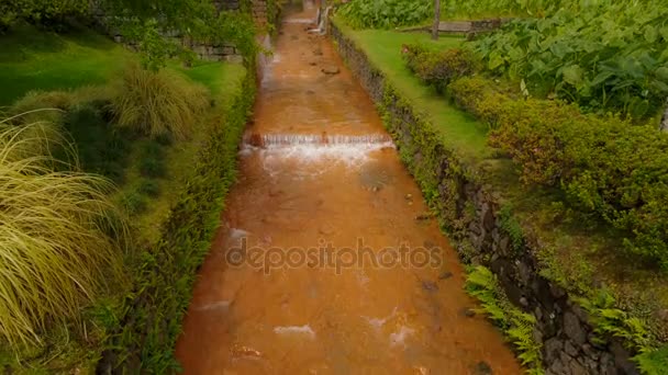 Furnas, Sao Miguel, Azores, Portugal — Vídeos de Stock