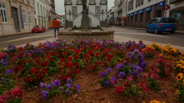 Ponta Delgada, Azores, Portugal — Vídeos de Stock