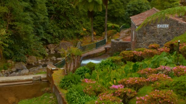 Parque Natural Ribeira dos Caldeiroes in Sao Miguel, Azores, Portugal — Stock video