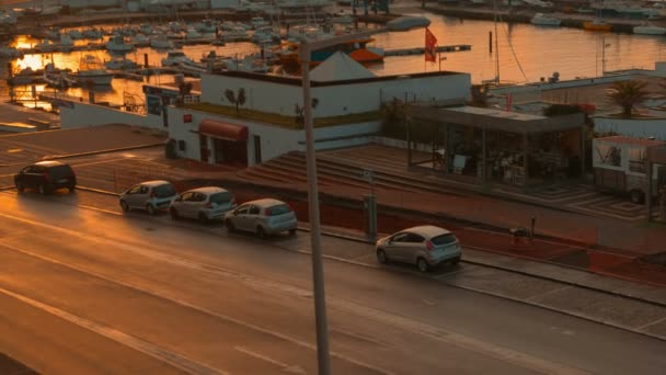 Ponta Delgada, île de Sao Miguel, Açores, Portugal — Video