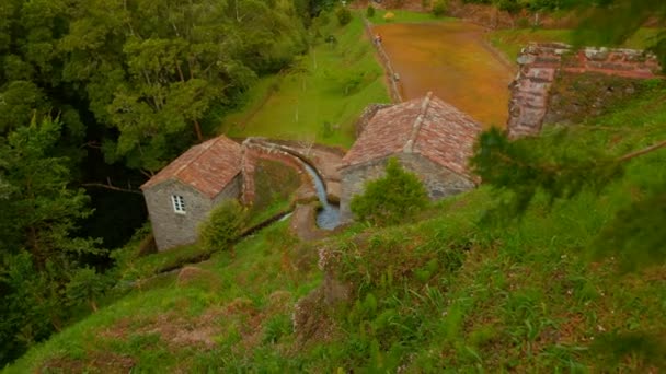 Parque Natural Ribeira dos Caldeiroes in Sao Miguel, Azores, Portugal — 图库视频影像