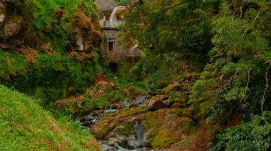 Parque Natural Ribeira dos Caldeiroes in Sao Miguel, Azores, Portugal