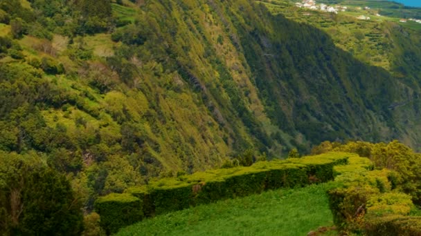 Sao Miguel, Azorerna, Portugal — Stockvideo