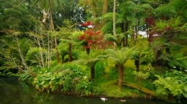 Sao Miguel, Azores, Portekiz