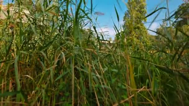 Calouste Gulbenkian, Lisbonne, Portugal 