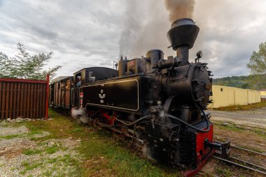 Buharlı tren, Transilvanya, Romanya