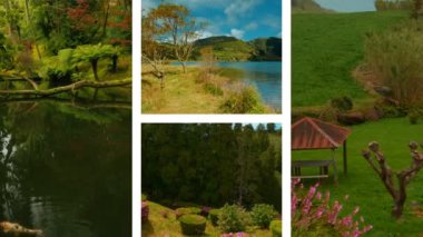 Azores koleksiyonu, Portekiz