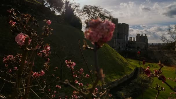 温莎城堡, 伯克希尔, 英国英国 — 图库视频影像