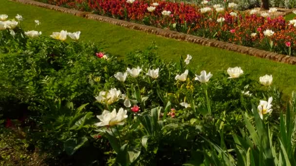 Kensington Palace, Londres, Inglaterra, Reino Unido — Vídeo de Stock