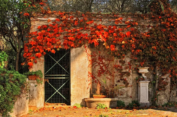 Angolo tranquillo del giardino autunnale con le foglie — Foto Stock