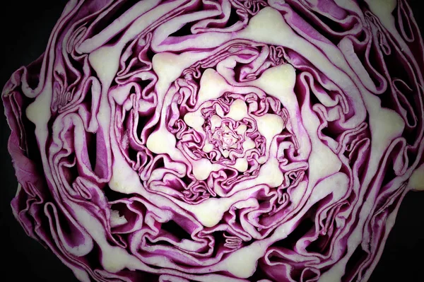 Red cabbage slice isolated on black, macro