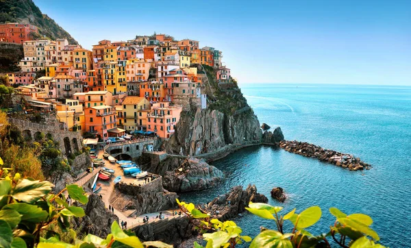 Barevný Manarolla v Cinque Terre — Stock fotografie
