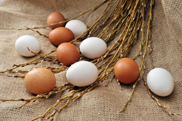 Великоднє натюрморт з натуральними яйцями та гілками хутряної верби — стокове фото