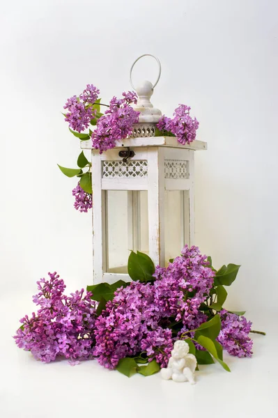 Spring lilac flower and lantern on a white background — Stock Photo, Image