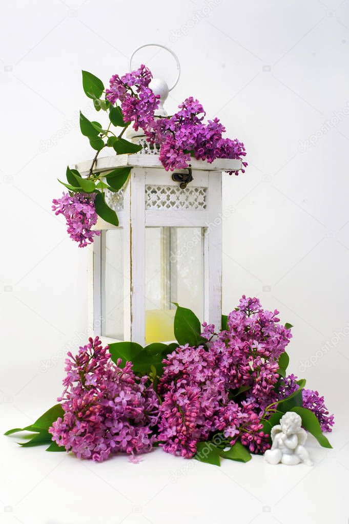 tender lilac flower and candlestick lamp on a white background