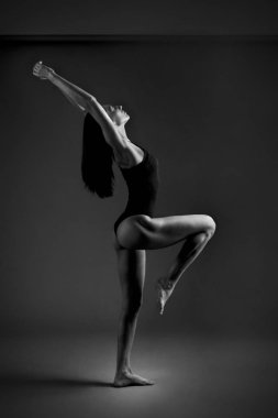 Doğulu dış görünüşlü zayıf bir kızla teatral fotoğraf yoga pozları gösteriyor.