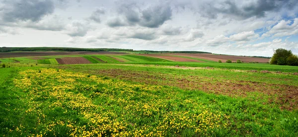 Plano Panorámico Primavera Con Trozos Tierra Agrícola Prado Diente León — Foto de Stock