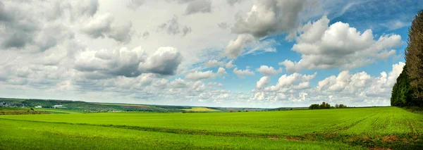 Champ Vert Avec Ciel Bleu Avec Des Nuages — Photo