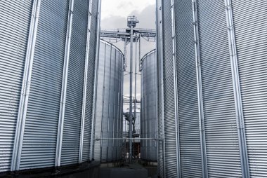 Tahıl ambarını bir grup çelikle kaplayın. Tahıl temizleme, kurutma ve depolama noktası. Tarım sektörü.