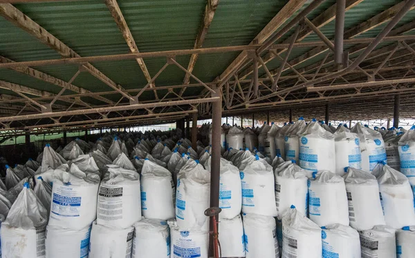 Bolotnya, Peremyshlyany district, Lviv region, Ukraine - February 03, 2020: Chemical fertilizer A urea bag at warehouse in stock agrofirm Dzvonu