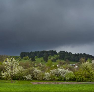Kırsalda ilkbahar. İlkbaharda çiçek açan ağaç, bulutların ve gökyüzünün arka planında.