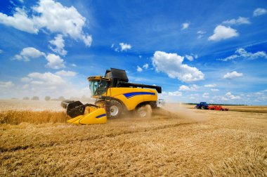 Çağdaş biçerdöver işine yakından bakın. Ukrayna 'da hasat ve ekilebilir sanayi