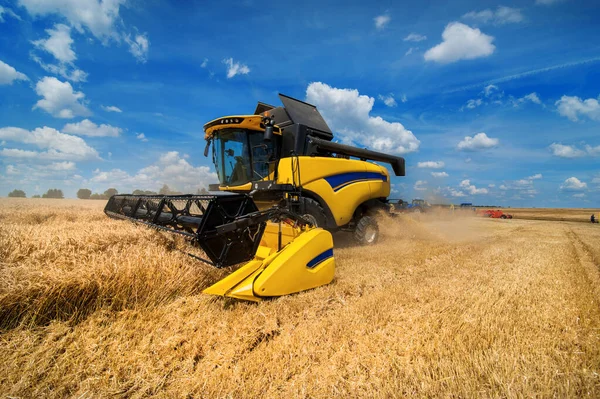 Wheat Field Combine Harvester Harvesting Cereals Sky Beautiful Clouds — Stock Photo, Image
