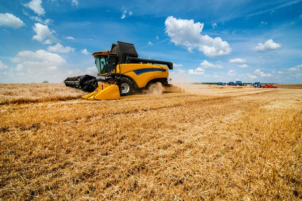 Buğday tarlası ve hasat tahıl, gökyüzü güzel bulutlarla birleşir.