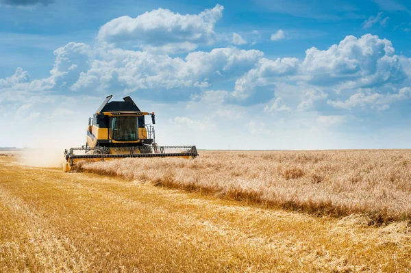 Єднати Збирання Зернових Пшеничне Поле Небо Красивими Хмарами — стокове фото