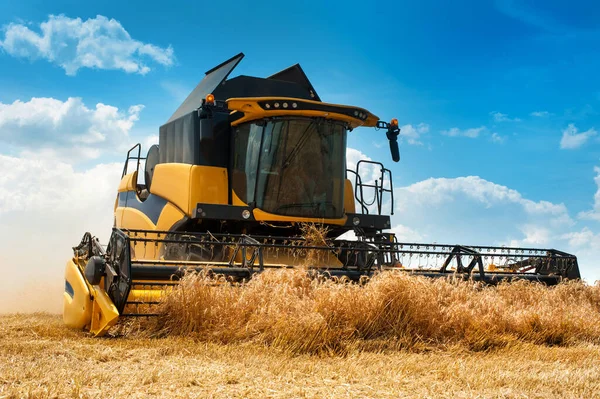 Крупним Планом Жовтий Сучасний Комбайн Збирання Зерна Снопом Пшениці — стокове фото