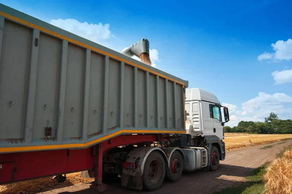 the harvester pours grain into the body of the truck, harvest