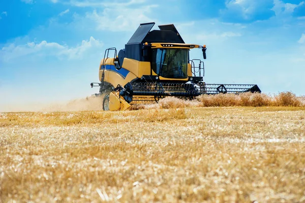 Збирання Зернових Україні Пшеничному Полі Прекрасним Небом — стокове фото