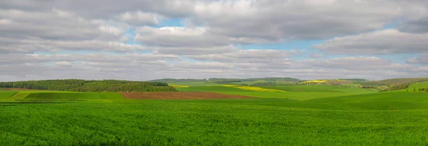 Trigo Verde Com Céu Nublado Agricultura Linhas Terra Arável Paisagem — Fotografia de Stock