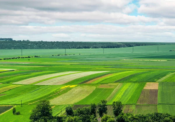 Panoramautsikt Över Jordbruksmark Åkrar Och Trädgårdar Landområde Ternopil Distriktet Terebovlya — Stockfoto