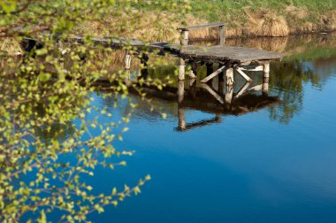 Su yansıması ve huş ağacının taze yeşil bahar yaprakları ile gölün kızarık suyu