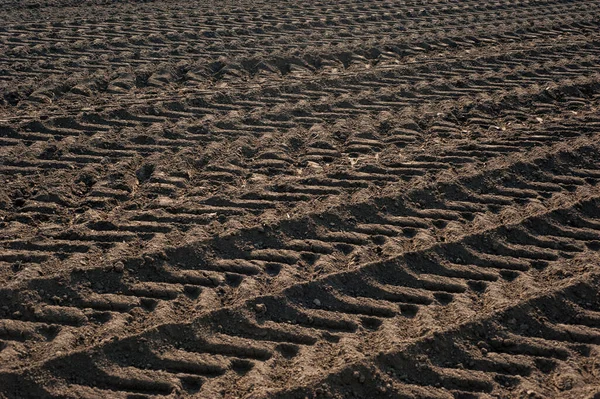 耕地的棕色耕地在整块耕地准备播种时留下的痕迹 履带轮胎痕迹 — 图库照片